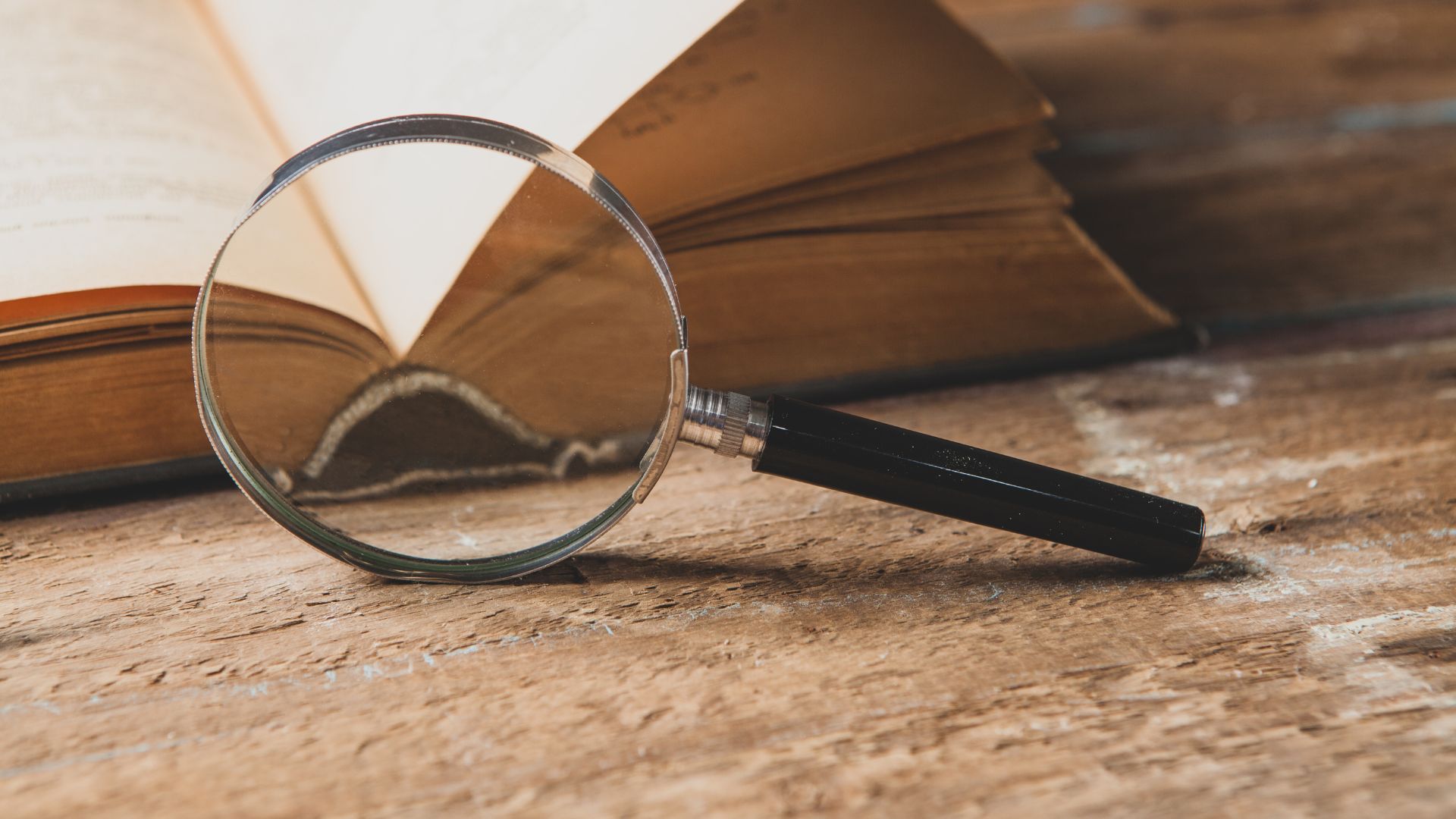 Navigating the Bestseller Up Close