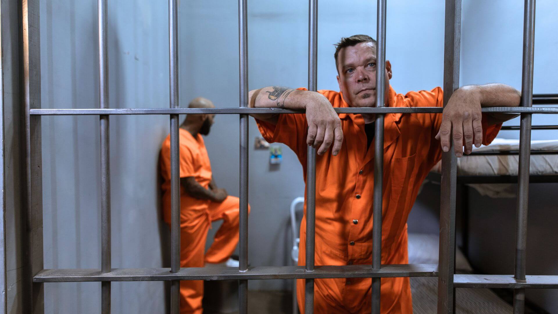 The Criminal in Fiction