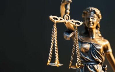 A Look Inside the Criminal Justice System