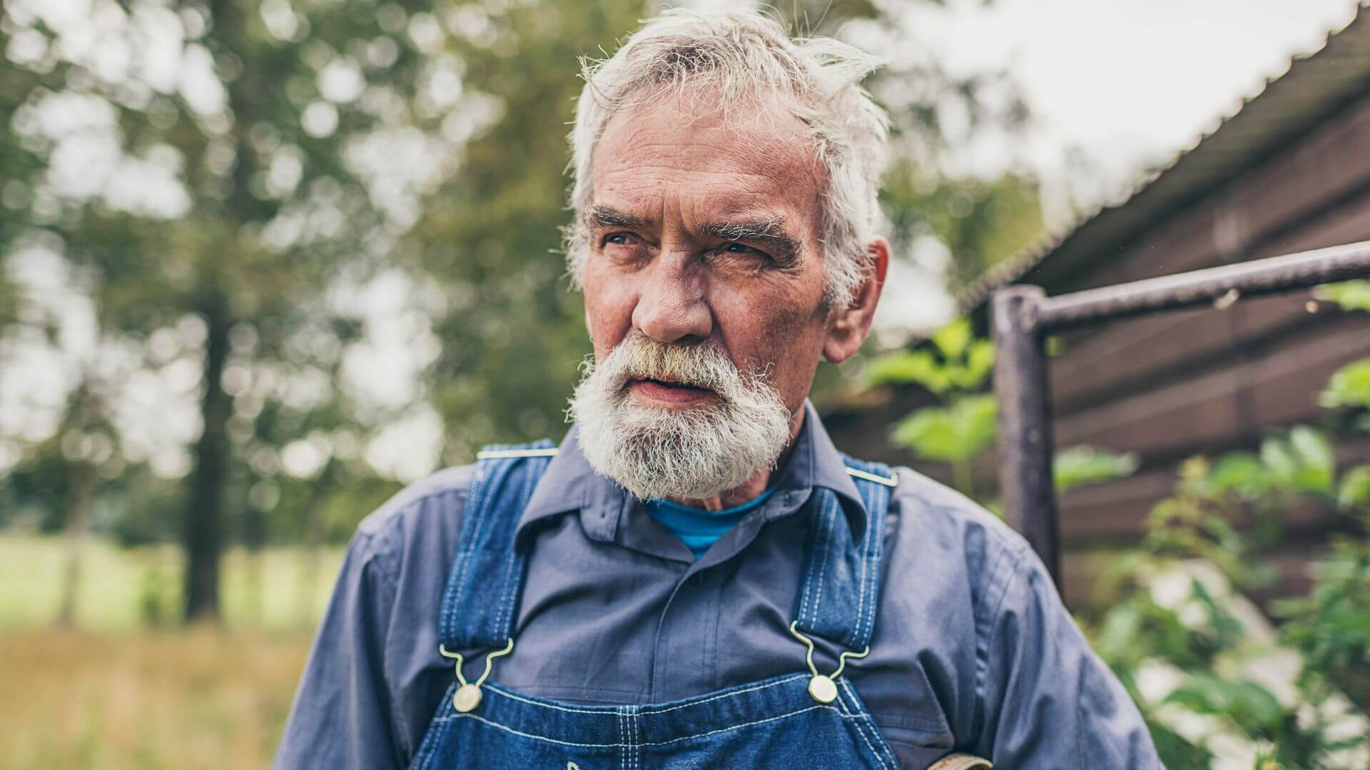Character as an Outgrowth of Setting