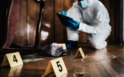 What Really Happens at a Crime Scene?