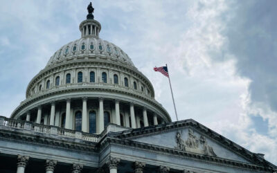 The ABCs of Government Agencies: Who Does What and How They Work Together…Sometimes Presentation