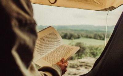 Will You Write the Next Hunger Games?