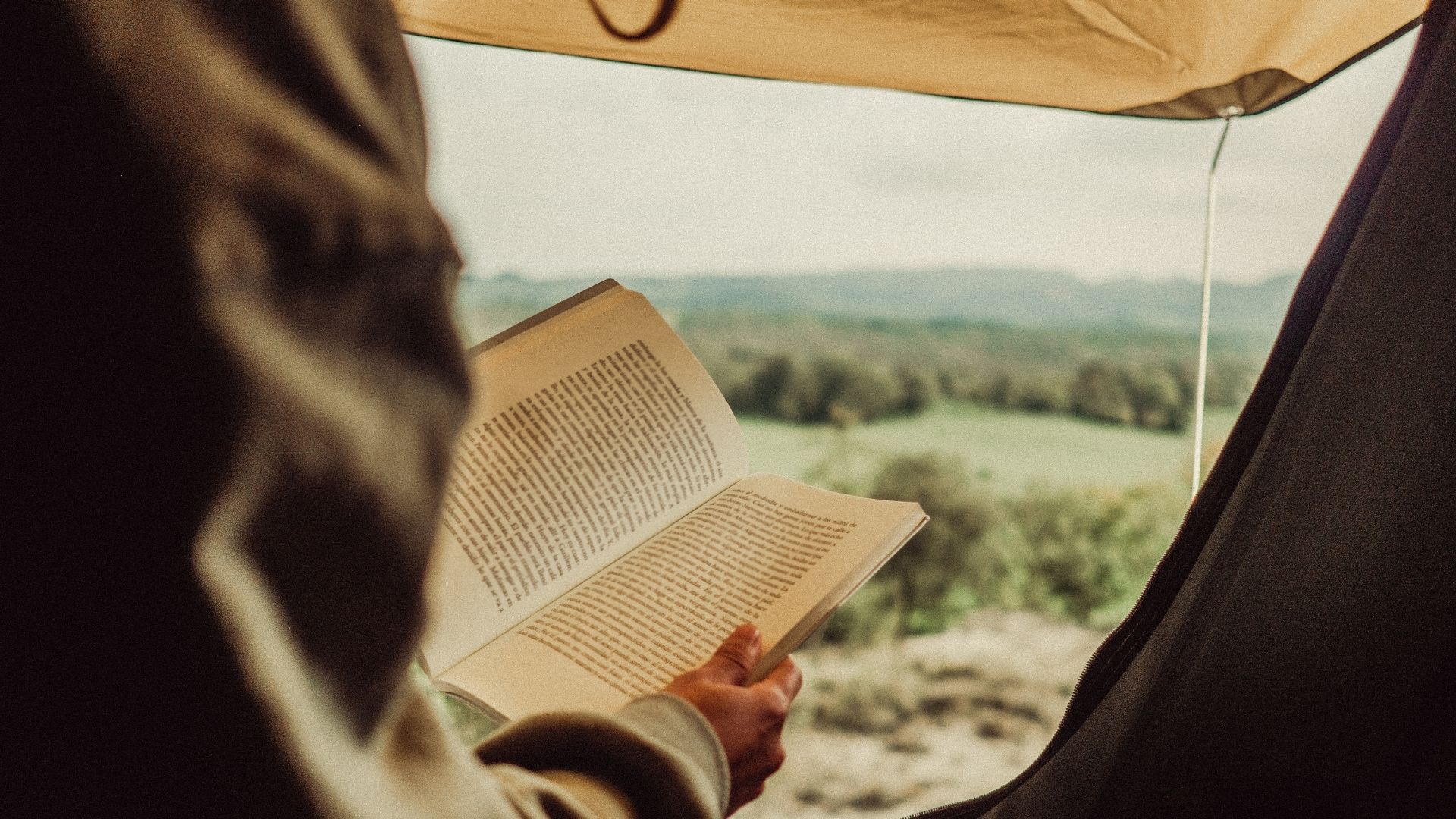 Will You Write the Next Hunger Games?