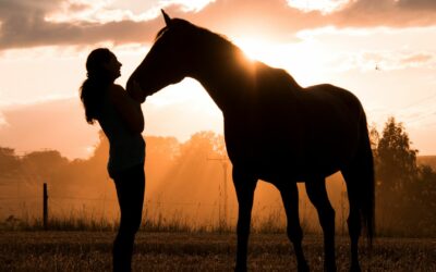 Animals in Mysteries