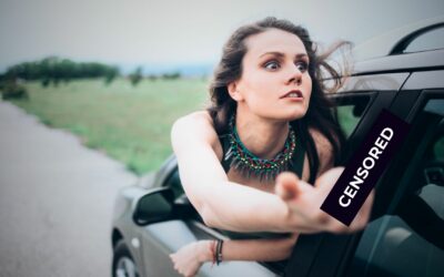 Sex, Violence, and Bad Language: Everything That Makes a Book Great
