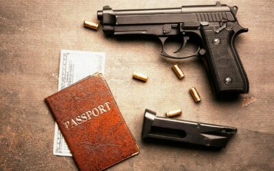 Never Let Me Go: Passport to Murder