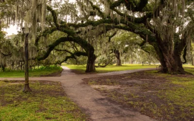 Mystery Southern Style