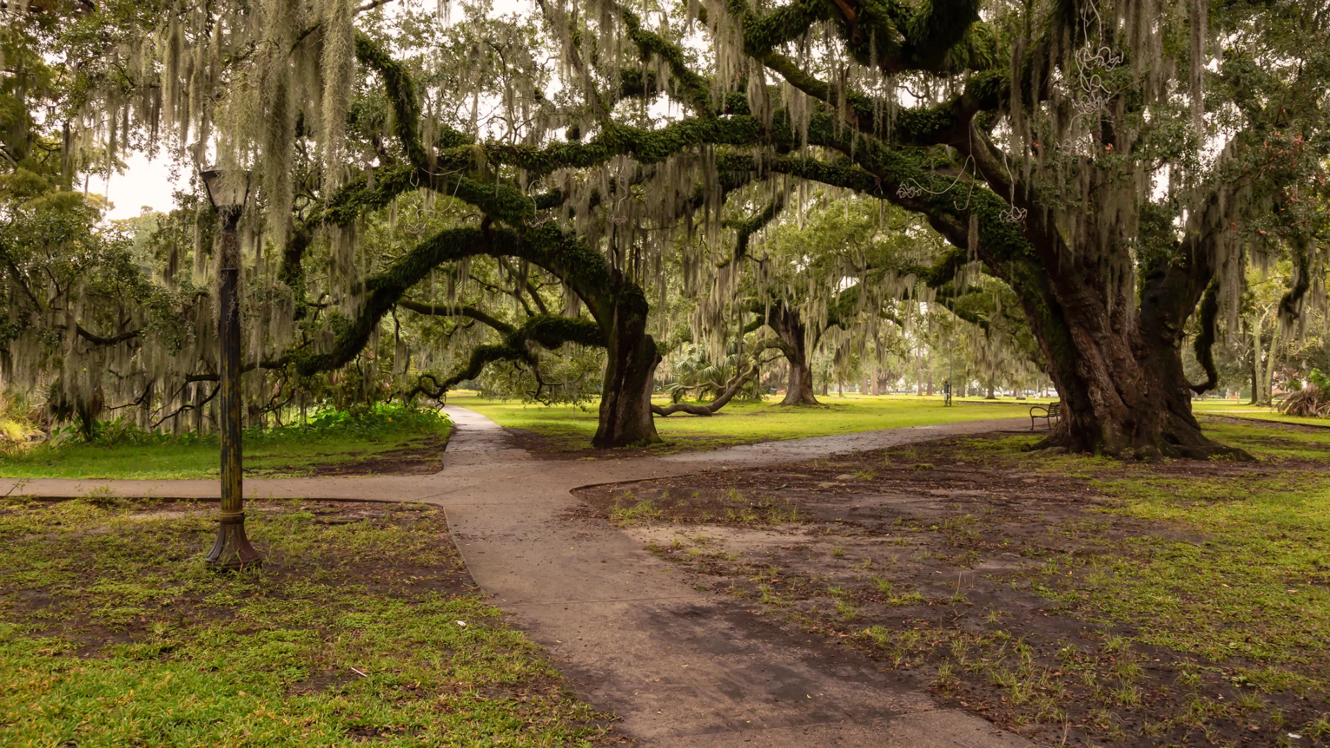 Mystery Southern Style