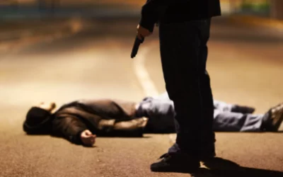 Have Gun Will Murder