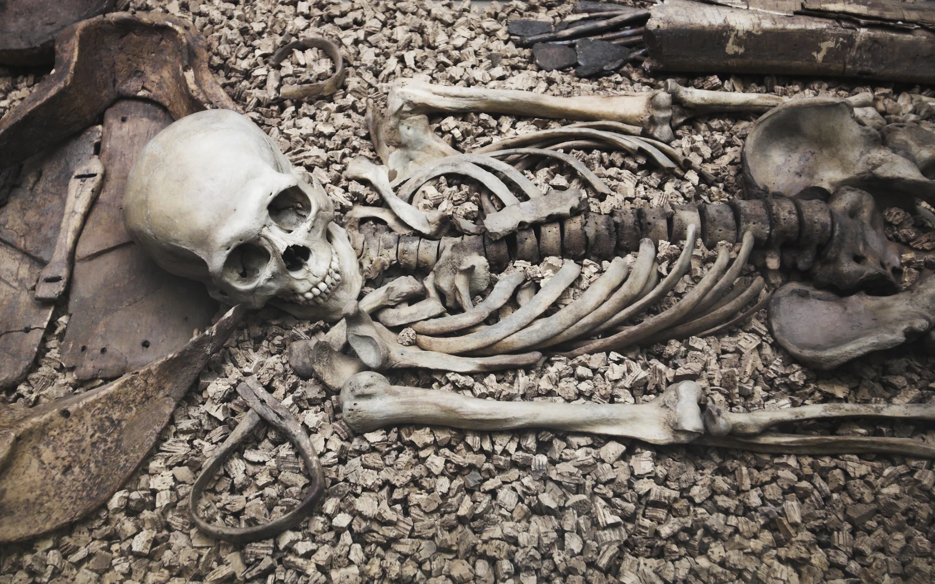 Murder Most Ancient
