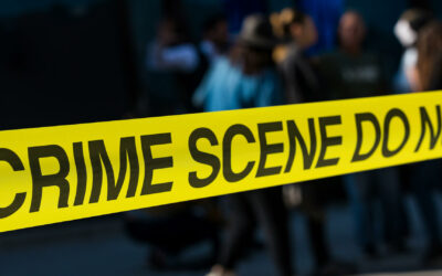 Crime Scene Analysis