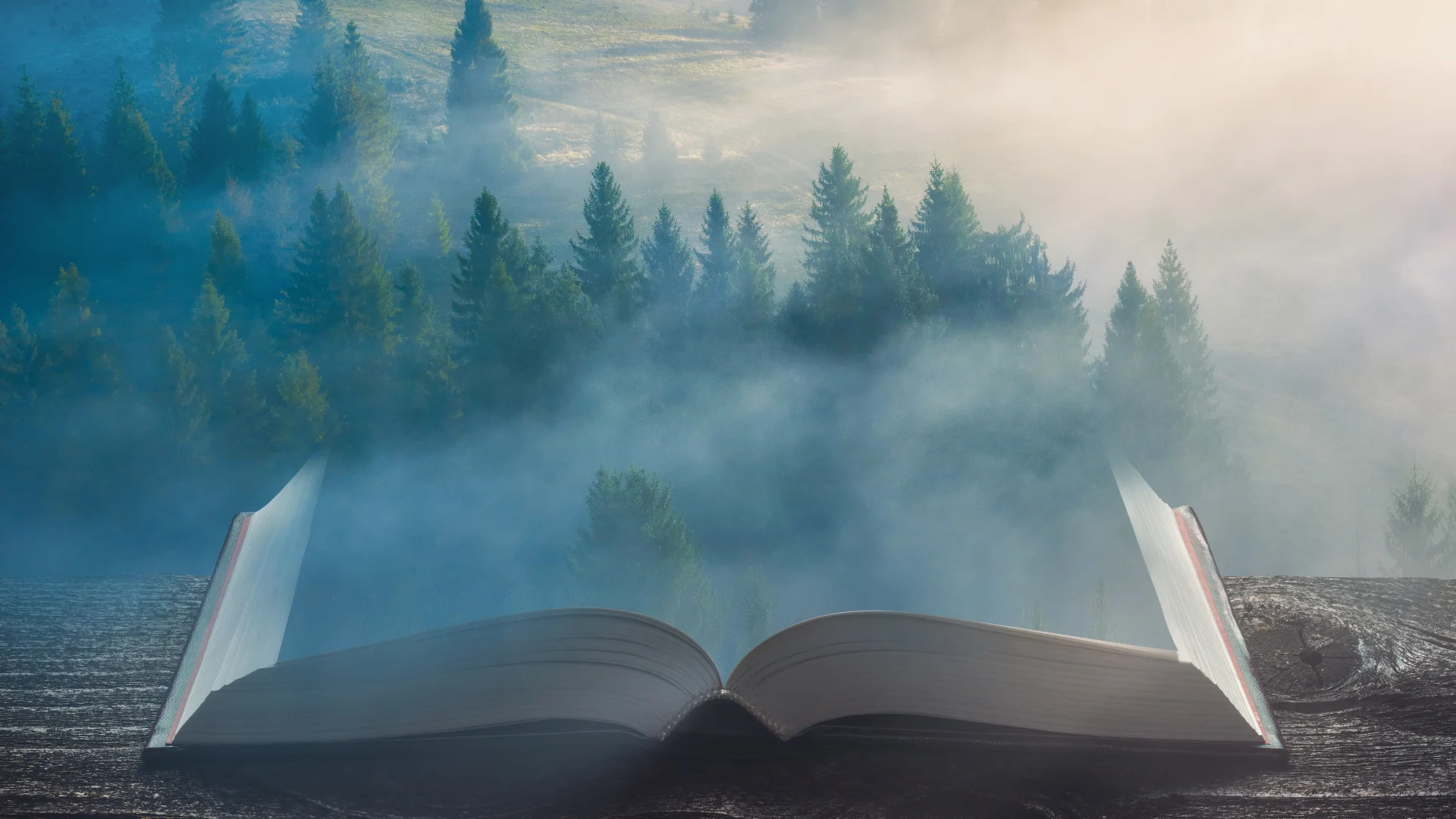 Mastering the Setting