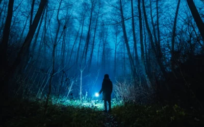 Traditional Mystery Verses Suspense Thriller