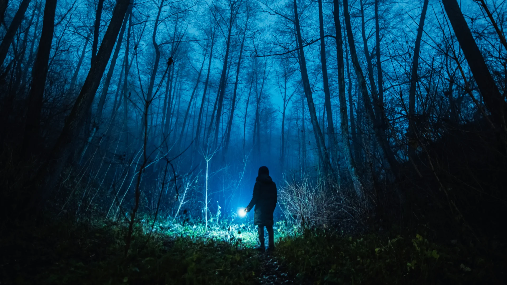 Traditional Mystery Verses Suspense Thriller