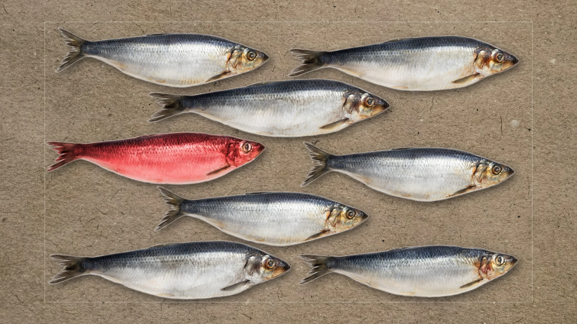 Red Herring and Misdirection