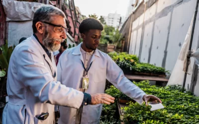 Forensic Botany in Stories