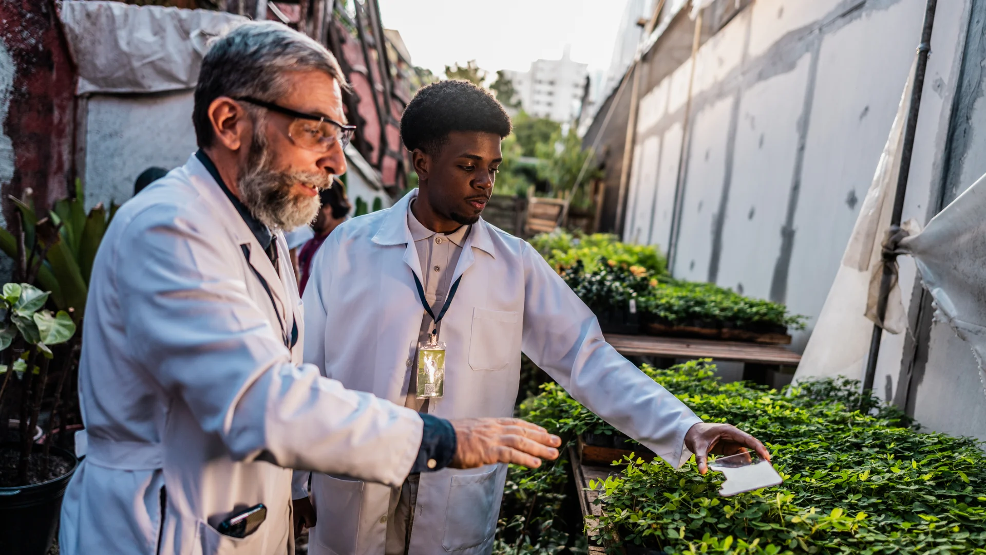 Forensic Botany in Stories