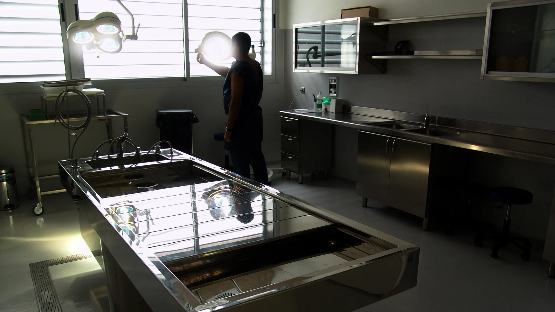 Autopsies and Forensic Death Investigation