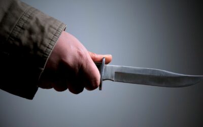 Serial Killers and Other Serial Offenders