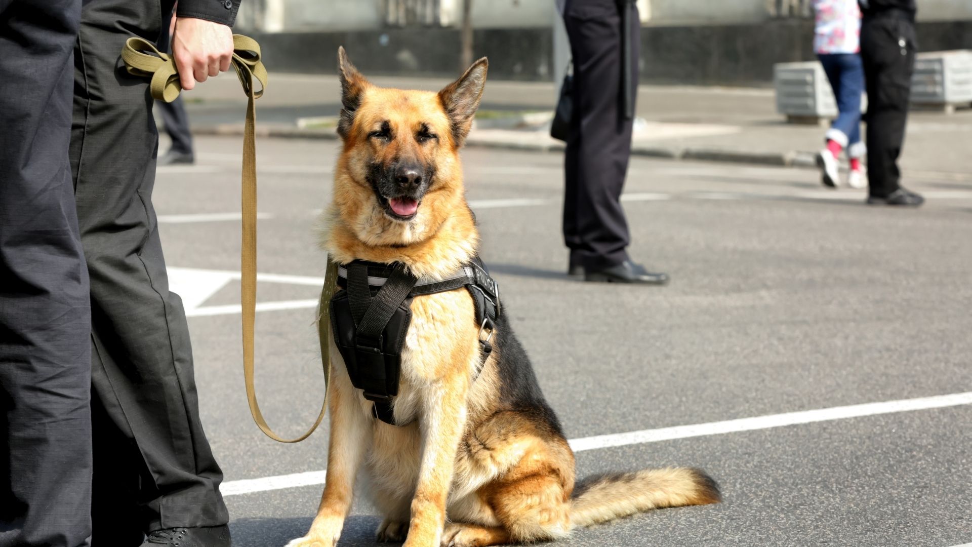 Search and Rescue