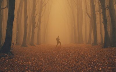The Importance of Setting within Storytelling