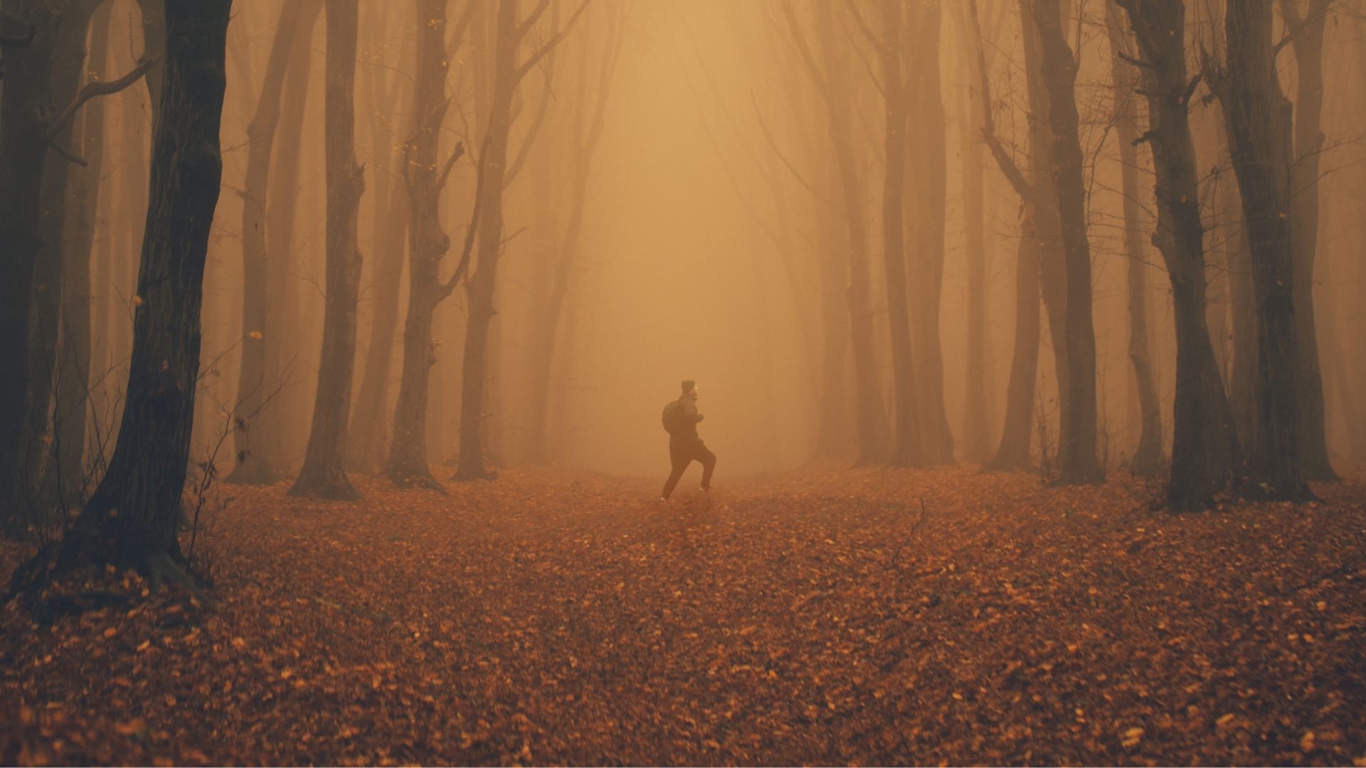 The Importance of Setting within Storytelling