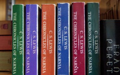 Pros and Cons of Writing a Series