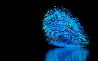 Fingerprints
