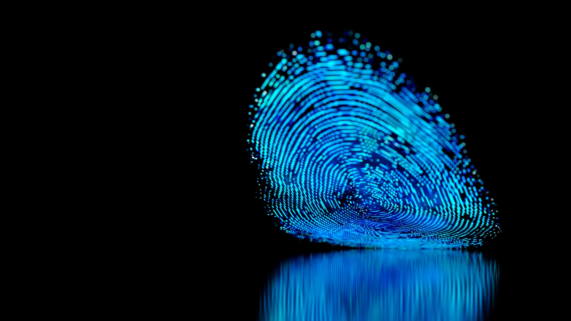 Fingerprints