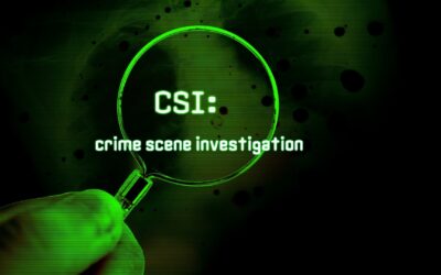 The CSI Effect: Is What We See on TV Real?