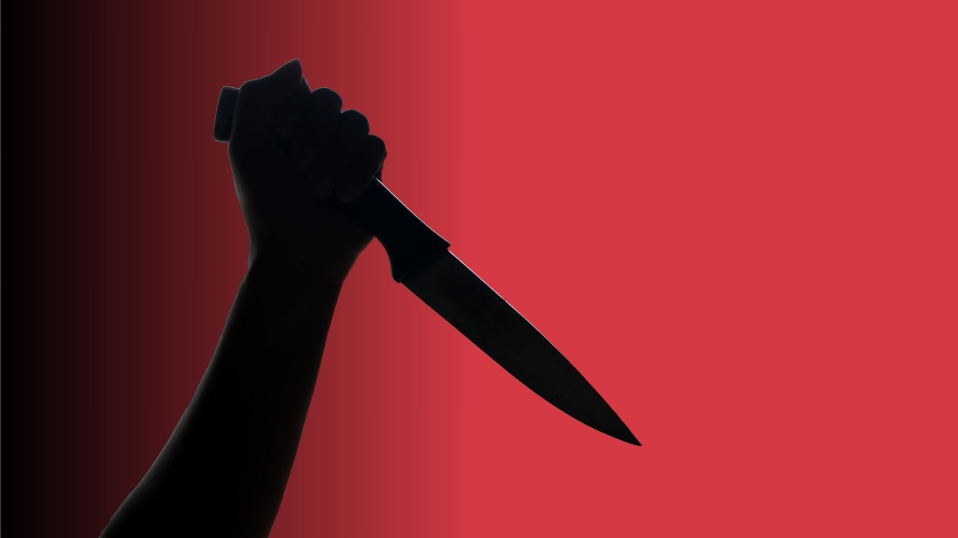 Murder 101