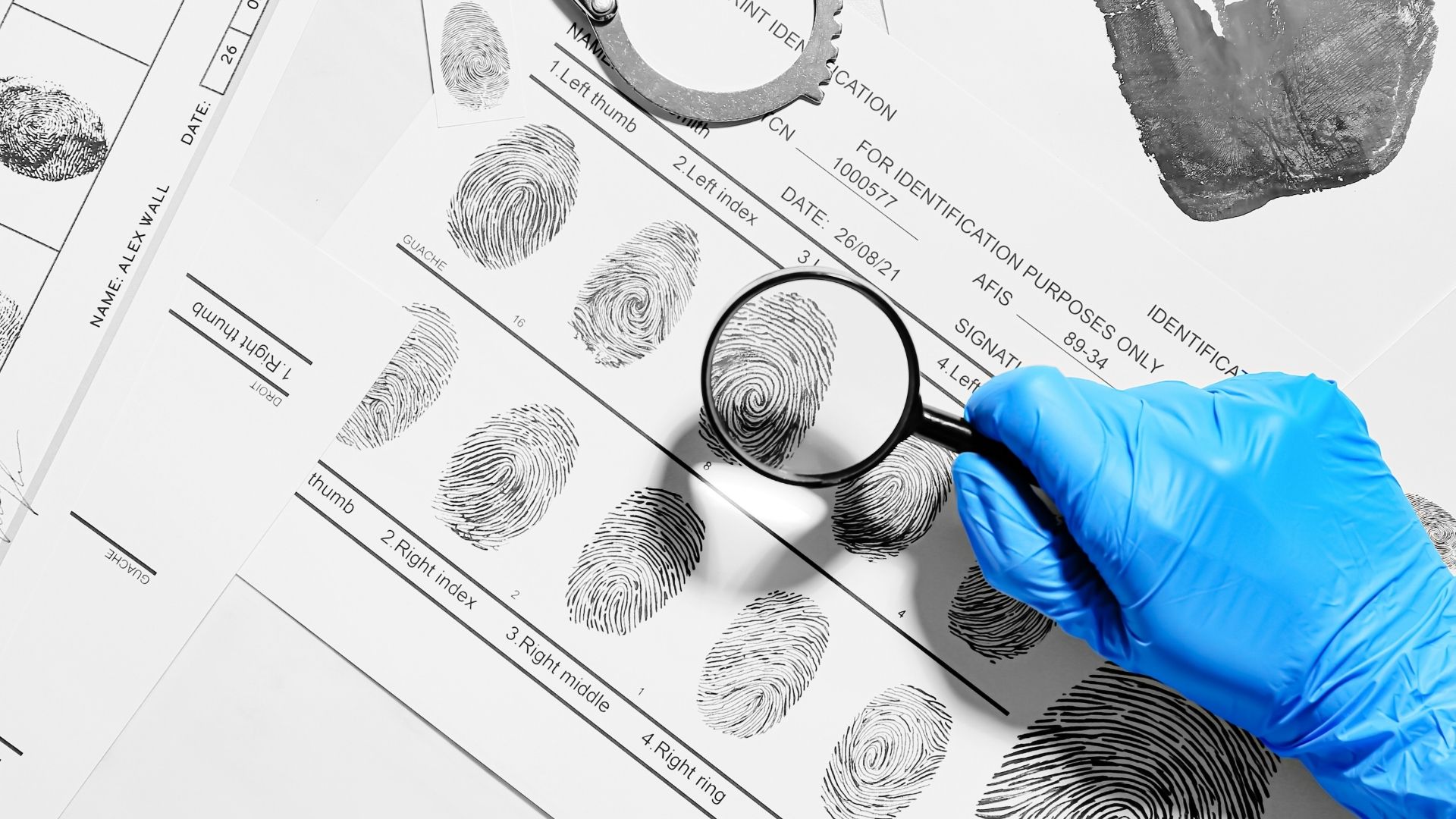 Forensic Identification