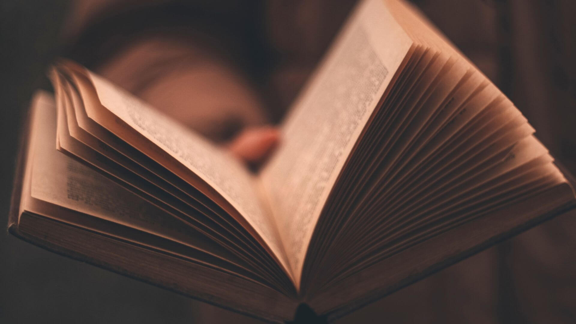 Writing the Literary Novel